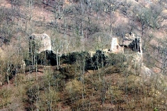 Hrad Týřov (zřícenina)