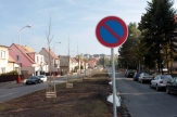 Habry v Malinovského ulici nahradily platany