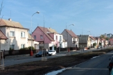 Habry v Malinovského ulici nahradily platany