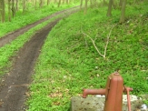 Studánka na Pohořelci