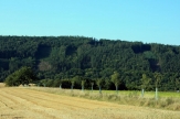 Obec Skryje chystá velké oslavy