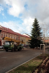 Advent začíná - rozsvícení vánočního stromku