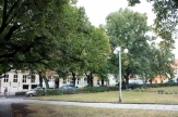 Stromořadí na Komenského náměstí projde rekonstrukcí