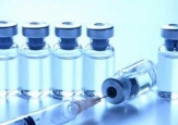 Kanada stahuje vakcíny proti H1N1 z důvodů silných alergických reakcí očkovaných osob