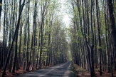 Fotosoutěž