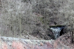 Mladý muž skočil pod jedoucí vlak v tunelu na trase Beroun - Rakovník