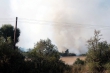 Požár lesa u Olešné na Rakovnicku (srpen 2015)